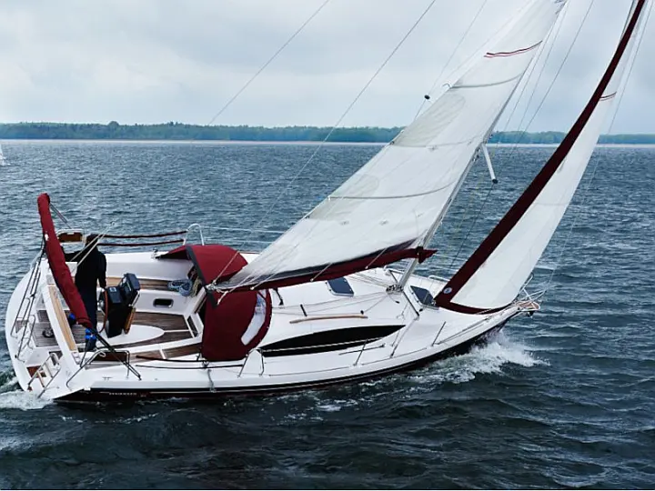 Maxus 33.1 RS Prestige - 