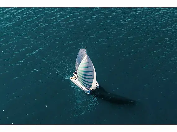 Lagoon 43