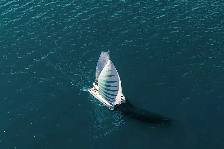 Lagoon 43 - 