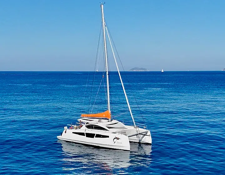 C-CAT 37 - 