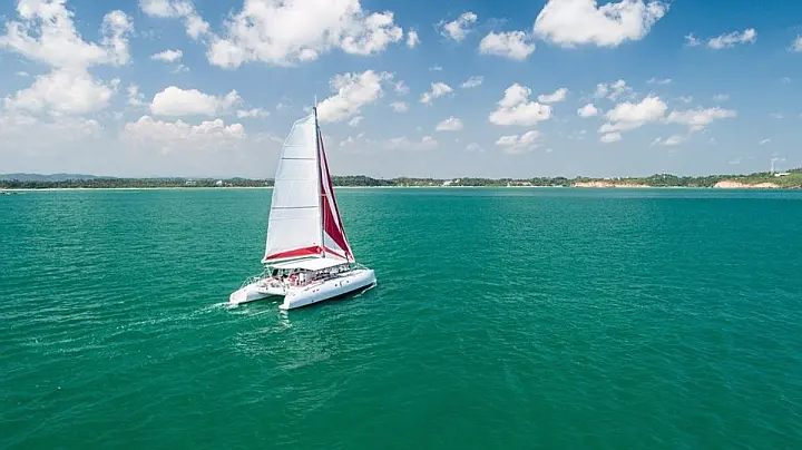 Ocean Voyager 53 - 