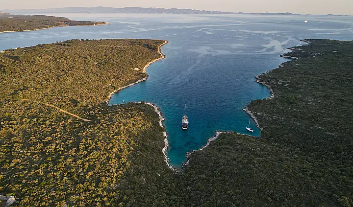 Luxury Sailing Yacht Rara Avis - 