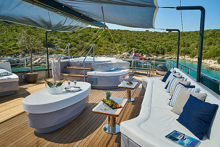 Luxury Sailing Yacht Rara Avis - 