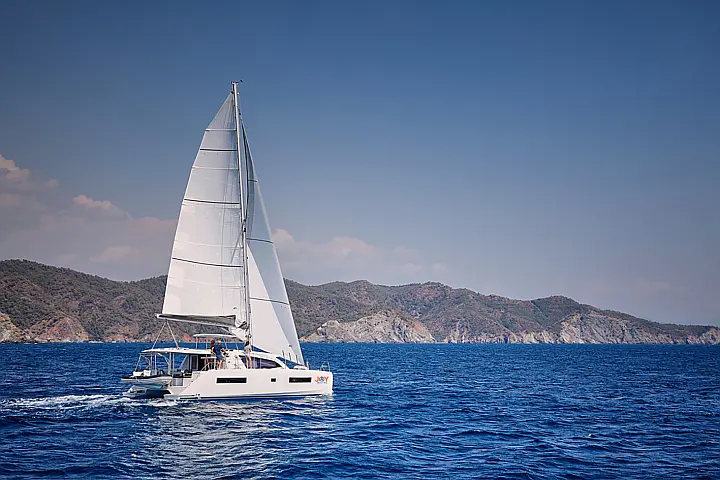 Leopard 40 - 