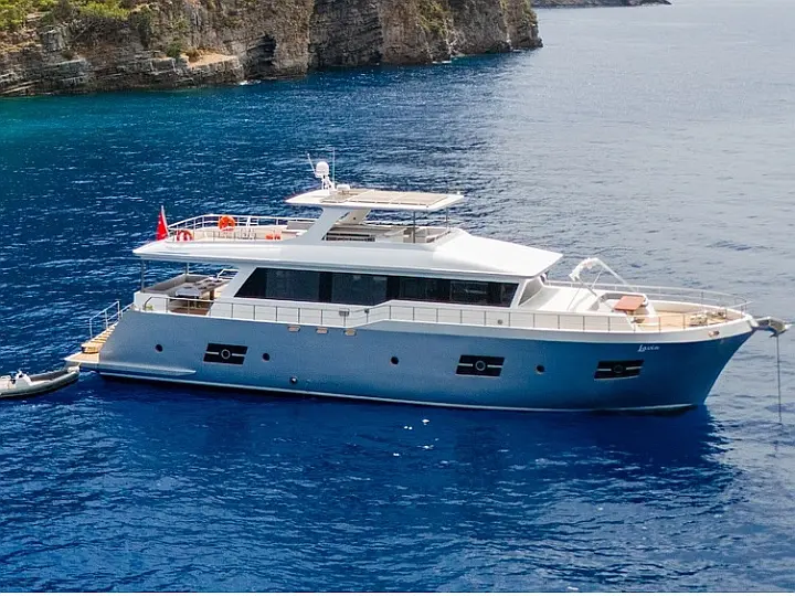 LAVIN - External image