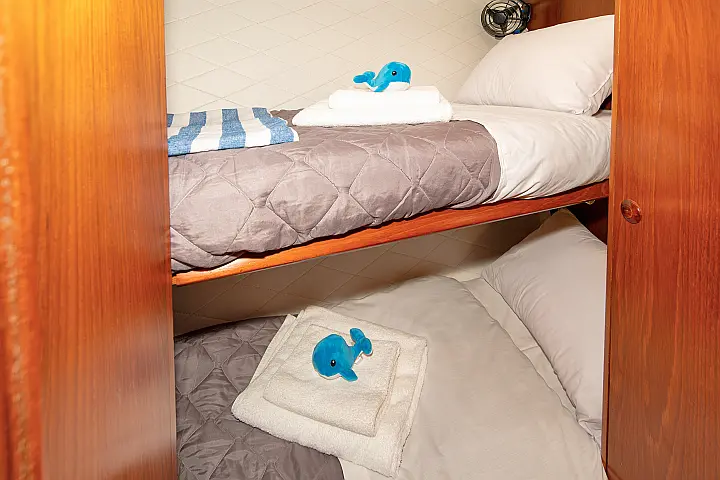 Sun Odyssey 43  - 