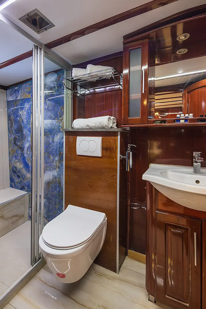 Gulet Phoenix Bronze - 