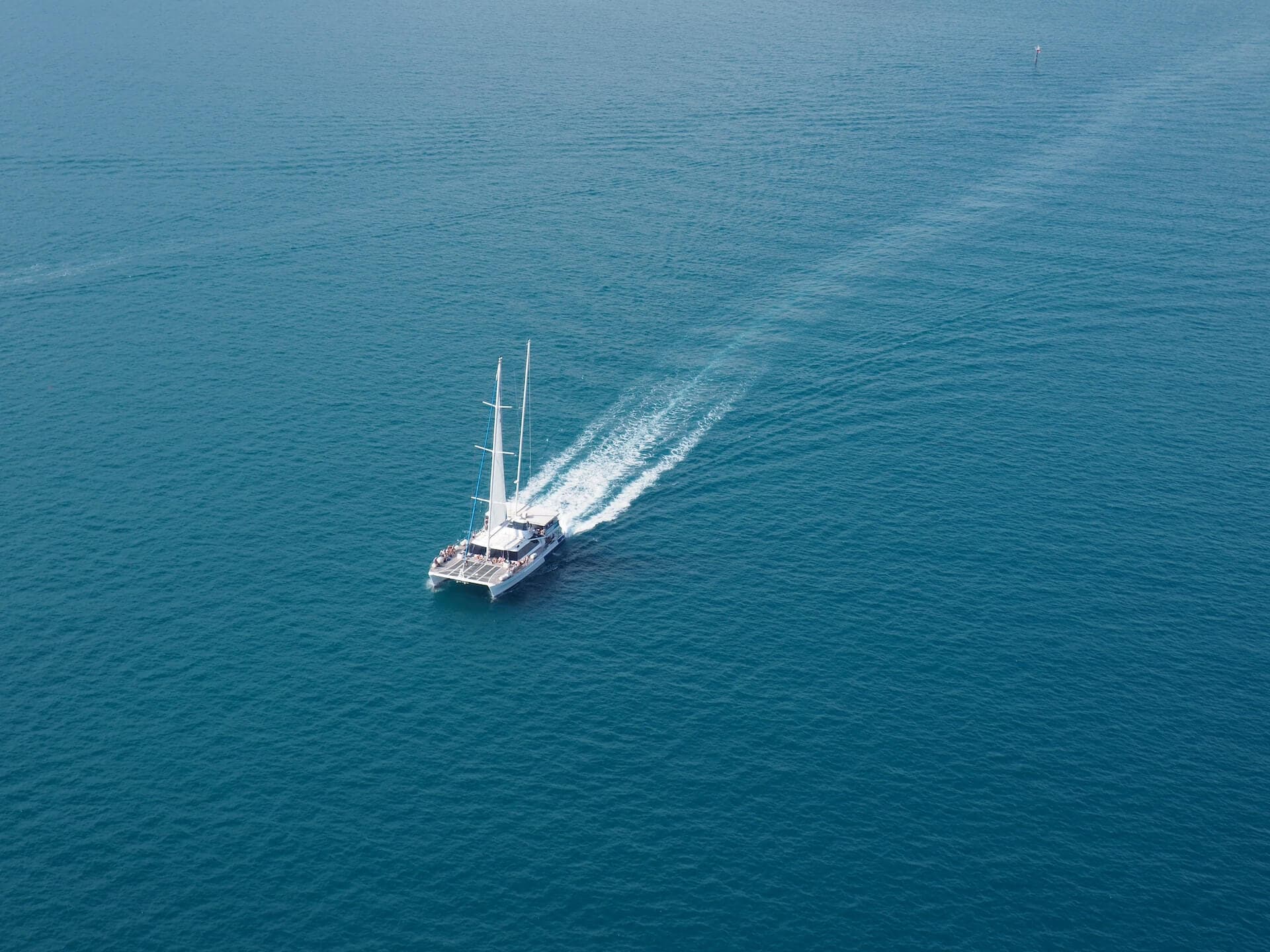 Single catamaran sailing on a sea