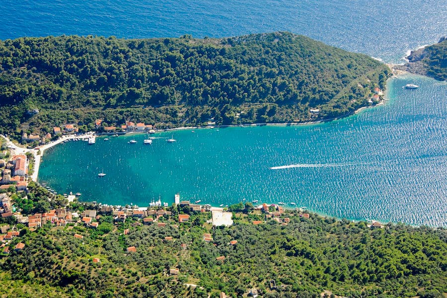 Aerial shot of a body of water surrounded with green forest