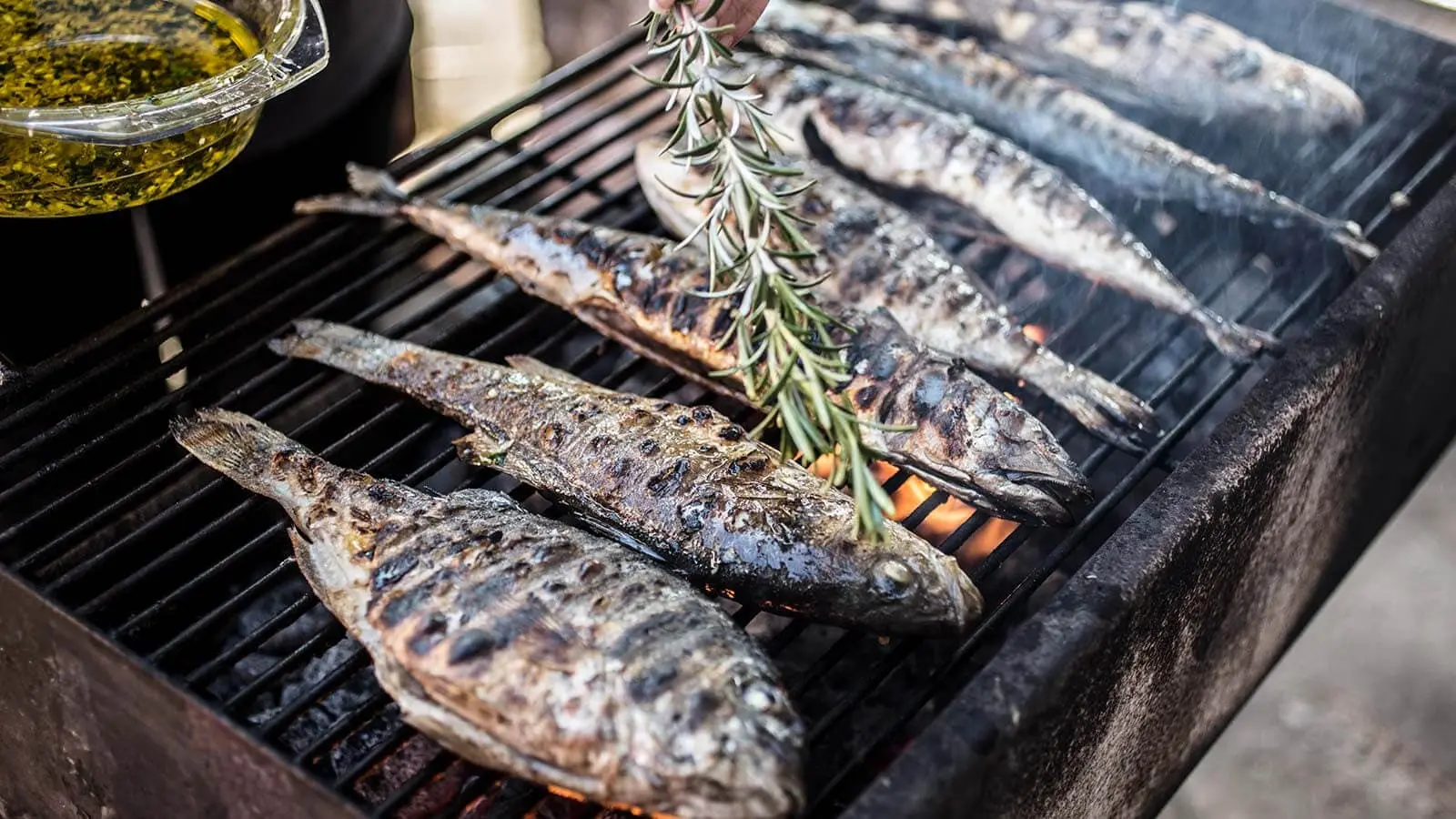 Fish on a grill with olive branch