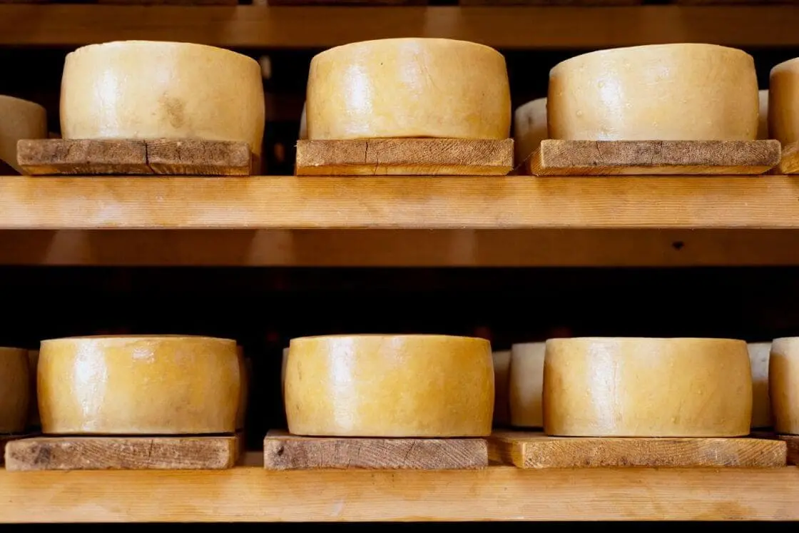 Paski cheese on shelves